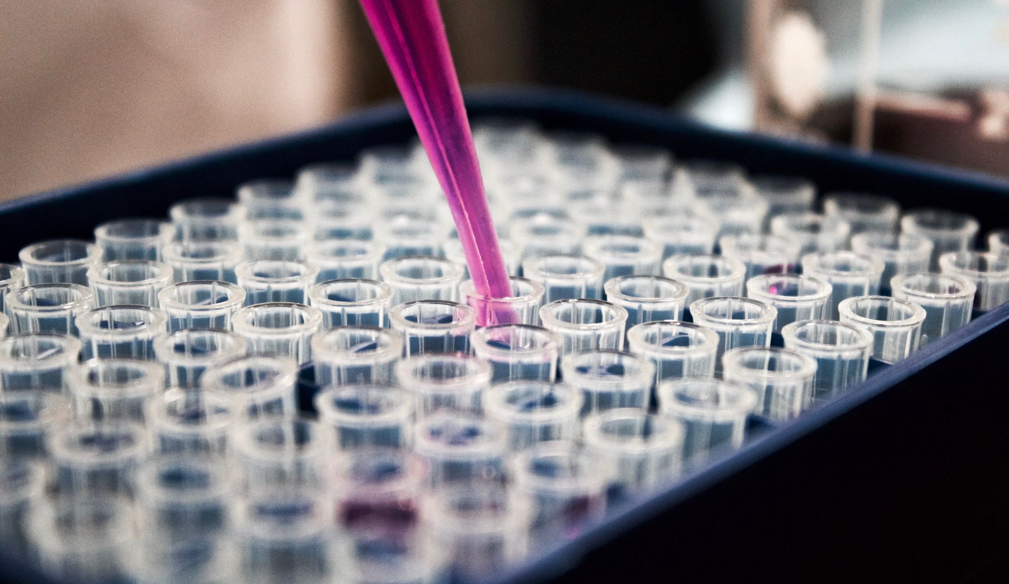 Kretanje je – život!